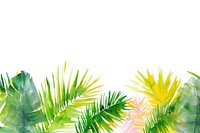 Palm leaves border nature backgrounds outdoors.