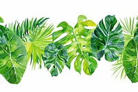 Tropical leaves backgrounds nature plant.