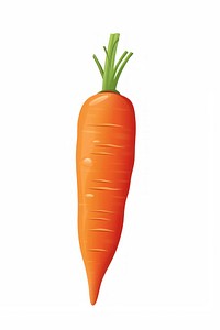 Carrot clipart illustration vegetable plant food.