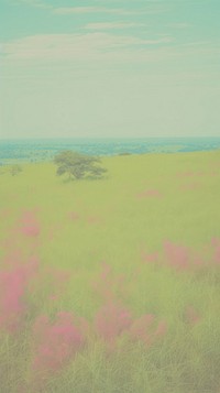 Savanna grassland landscape outdoors horizon. AI generated Image by rawpixel.