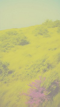 Savanna grassland backgrounds landscape outdoors. AI generated Image by rawpixel.