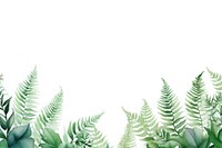Leaf fern nature plant.