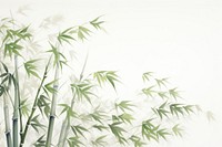 Painting of bamboos nature plant backgrounds.