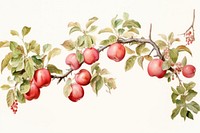Apple painting plant fruit.