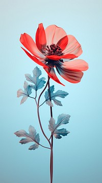 Flower plant petal poppy. AI generated Image by rawpixel.