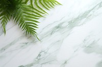 Green marble background backgrounds plant leaf. AI generated Image by rawpixel.