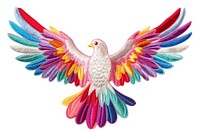 Dove animal bird white background. AI generated Image by rawpixel.