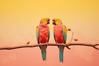 Collage Retro dreamy two parrot animal bird wildlife.