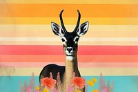 Collage Retro dreamy antelope wildlife animal mammal.