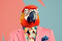 Collage Retro dreamy parrot animal bird accessories.