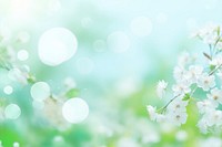 Pastel green bokeh background backgrounds outdoors blossom. AI generated Image by rawpixel.