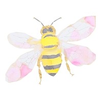 Bee marble distort shape animal insect hornet.