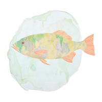 Fish marble distort shape animal white background goldfish.