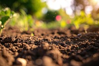 Gardening soil backdrop backgrounds outdoors nature. AI generated Image by rawpixel.