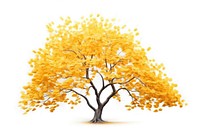 Ginko tree autumn plant maple.