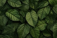 Leaves texture background backgrounds plant leaf. AI generated Image by rawpixel.