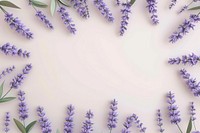 Lavender flowers frame backgrounds lilac plant.