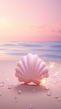 Sea shell dreamy wallpaper seashell outdoors nature.