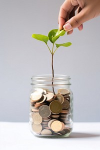 Putting coin inside a glass jar plant hand investment.
