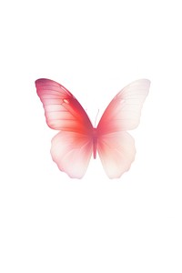 Abstract blurred gradient illustration butterfly animal petal pink.