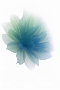 Blurred gradient illustration blue flower abstract petal plant.