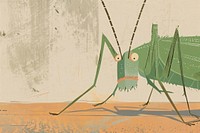 Insect insect grasshopper cartoon.