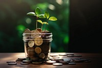 Coins and money growing plant savings banking investment.