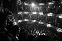 Audience in music hall adult architecture performance.