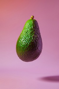 Photo of avocado fruit plant food.