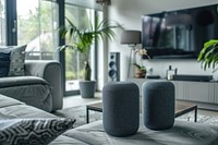 Smart speakers in living room furniture plant architecture.