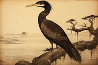 Traditional japanese cormorant animal bird waterfowl.