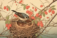 PNG Traditional japanese nest painting animal bird.