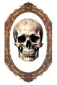 Skull frame white background representation.