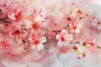 Cherry blossom watercolor background petal backgrounds flower.