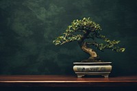 Bonsai plant tree wall.