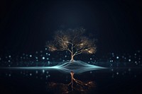 Abstract background tree outdoors nature.