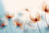 Abstract background flower backgrounds outdoors.