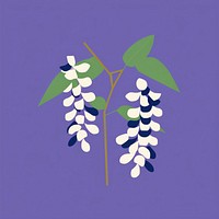 American wisteria flower purple plant.