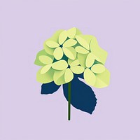 Hortensia graphics flower plant.
