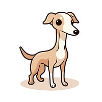 Greyhound animal mammal dog.