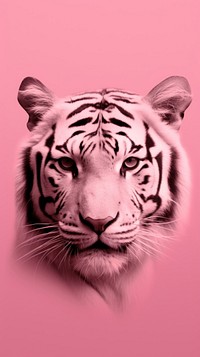 Pink aesthetic tiger wallpaper wildlife animal mammal.