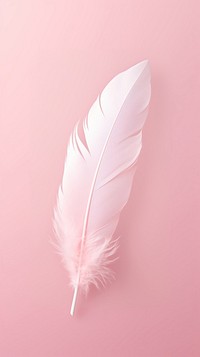 Pink aesthetic feather wallpaper lightweight accessories fragility.