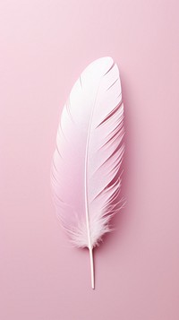 Pink aesthetic feather wallpaper bird lightweight accessories.