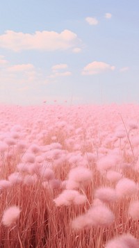 Pink aesthetic field wallpaper outdoors horizon nature.