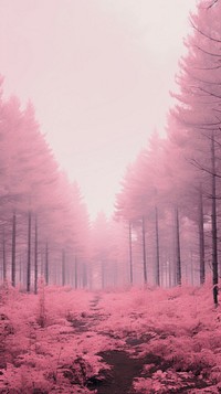 Pink aesthetic forest wallpaper landscape outdoors woodland.