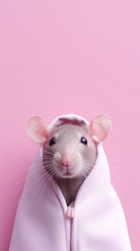 Pink aesthetic rat wallpaper mammal animal rodent.