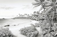Illustration of a tropical landscape outdoors drawing.