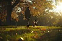 Woman walking with her dog in park sunlight outdoors woodland.
