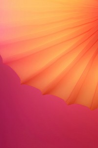 Abstact gradient illustration parasol backgrounds abstract pattern.