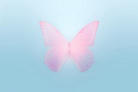 Abstract blurred gradient illustration butterfly nature petal pink.